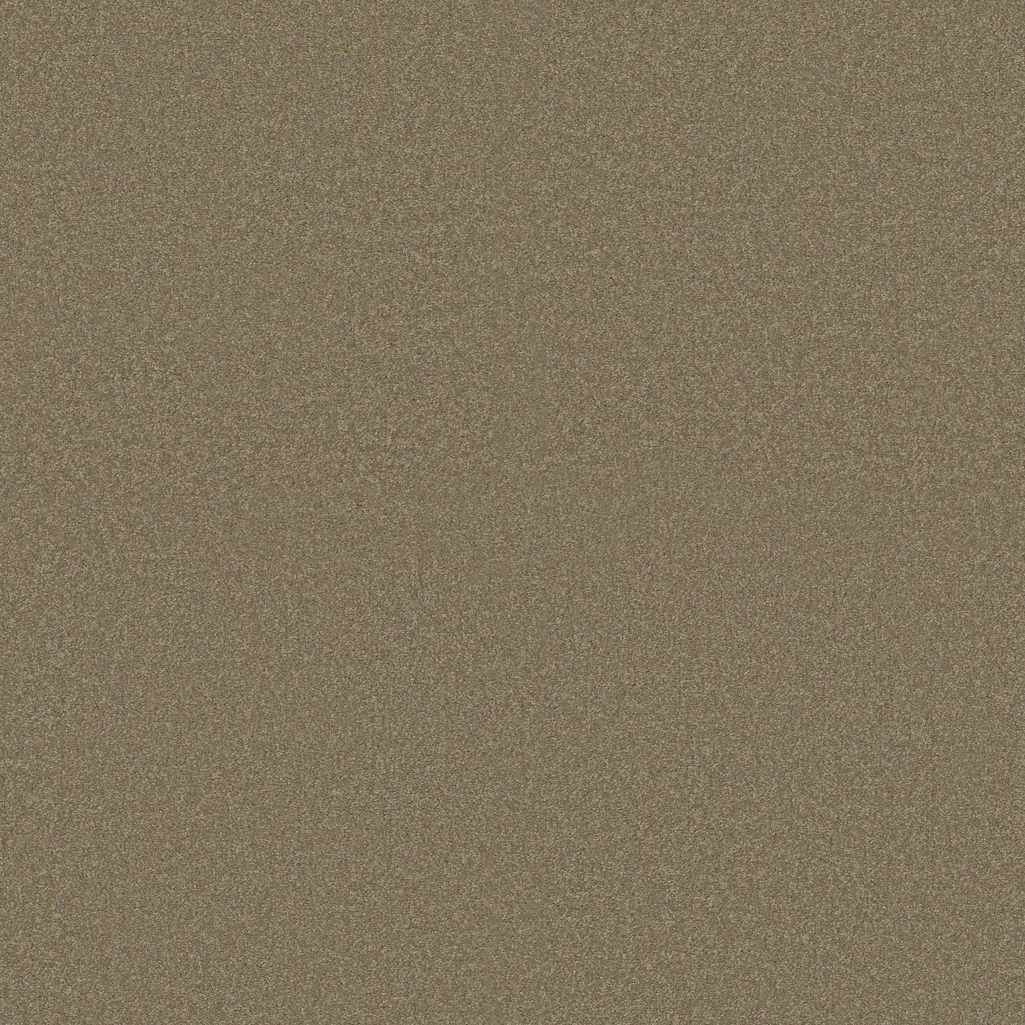 TEXTURE BCF
