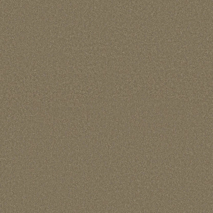 TEXTURE BCF