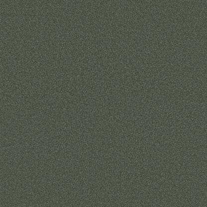 TEXTURE BCF