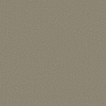 TEXTURE BCF