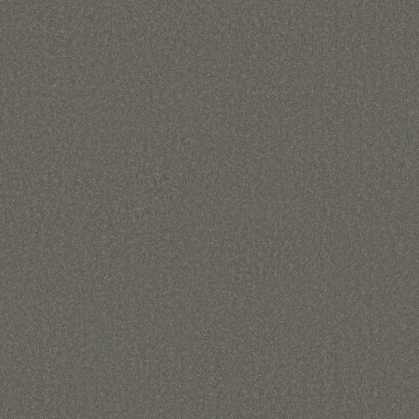 TEXTURE BCF