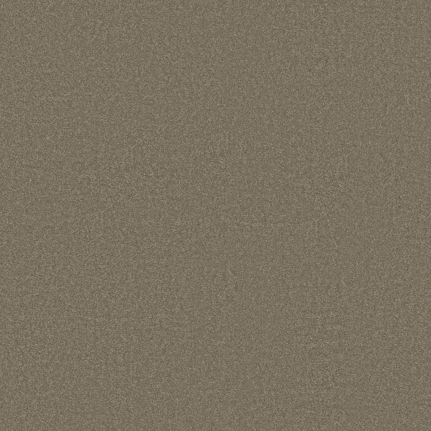 TEXTURE BCF