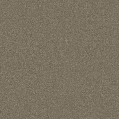 TEXTURE BCF