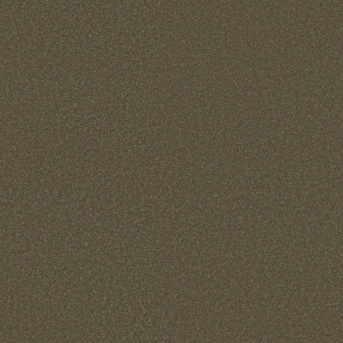 TEXTURE BCF