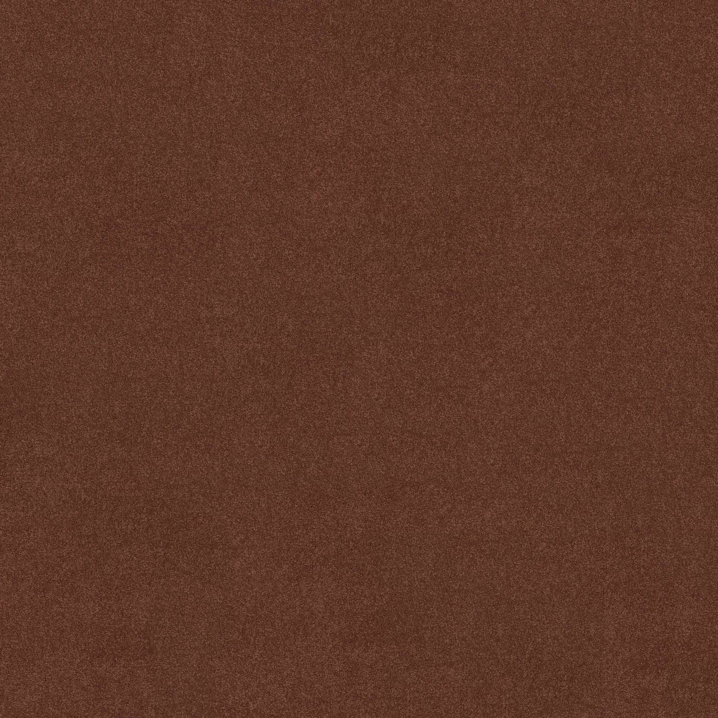TEXTURE BCF