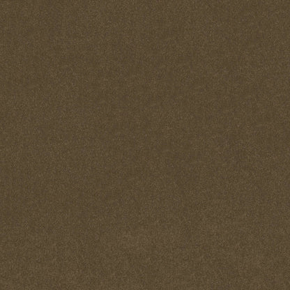 TEXTURE BCF