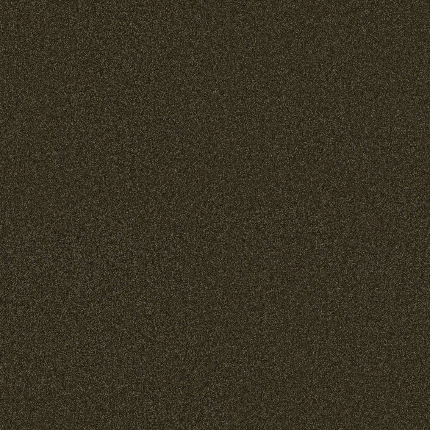 TEXTURE BCF