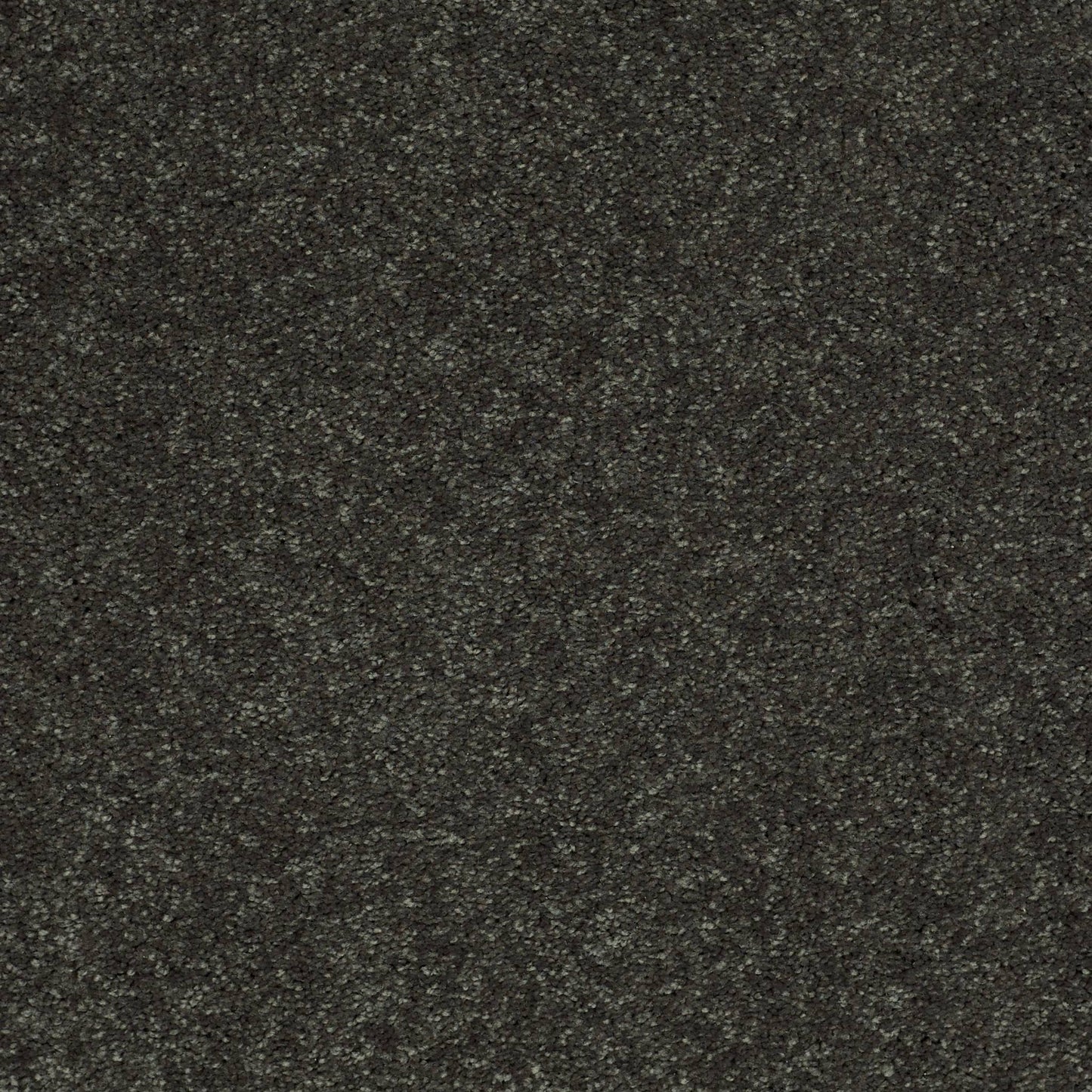 PET BCF