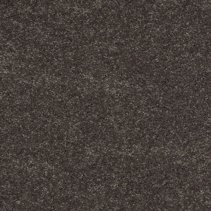PET BCF