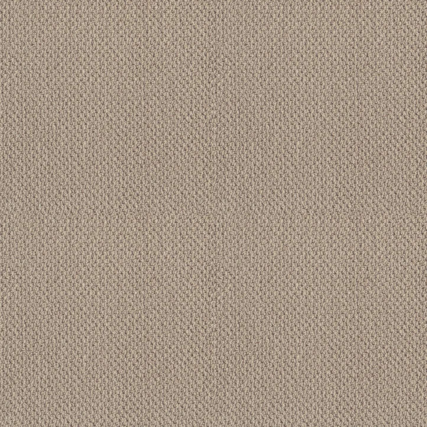 BERBER NYLON LOOP