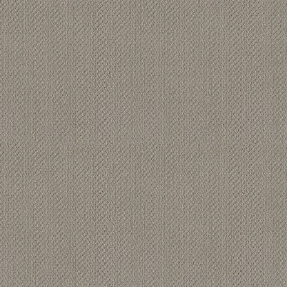 BERBER NYLON LOOP