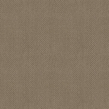 BERBER NYLON LOOP