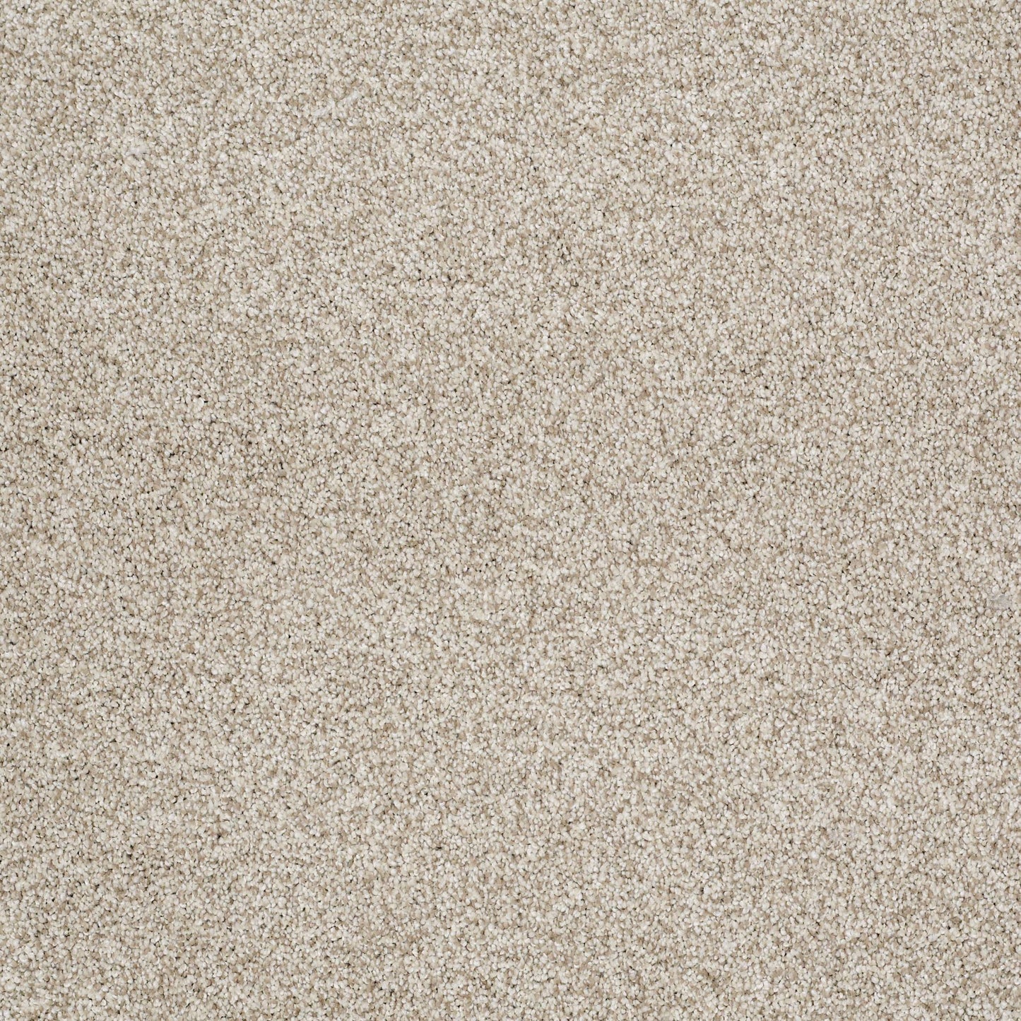 BERBER CUT PILE