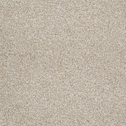 BERBER CUT PILE