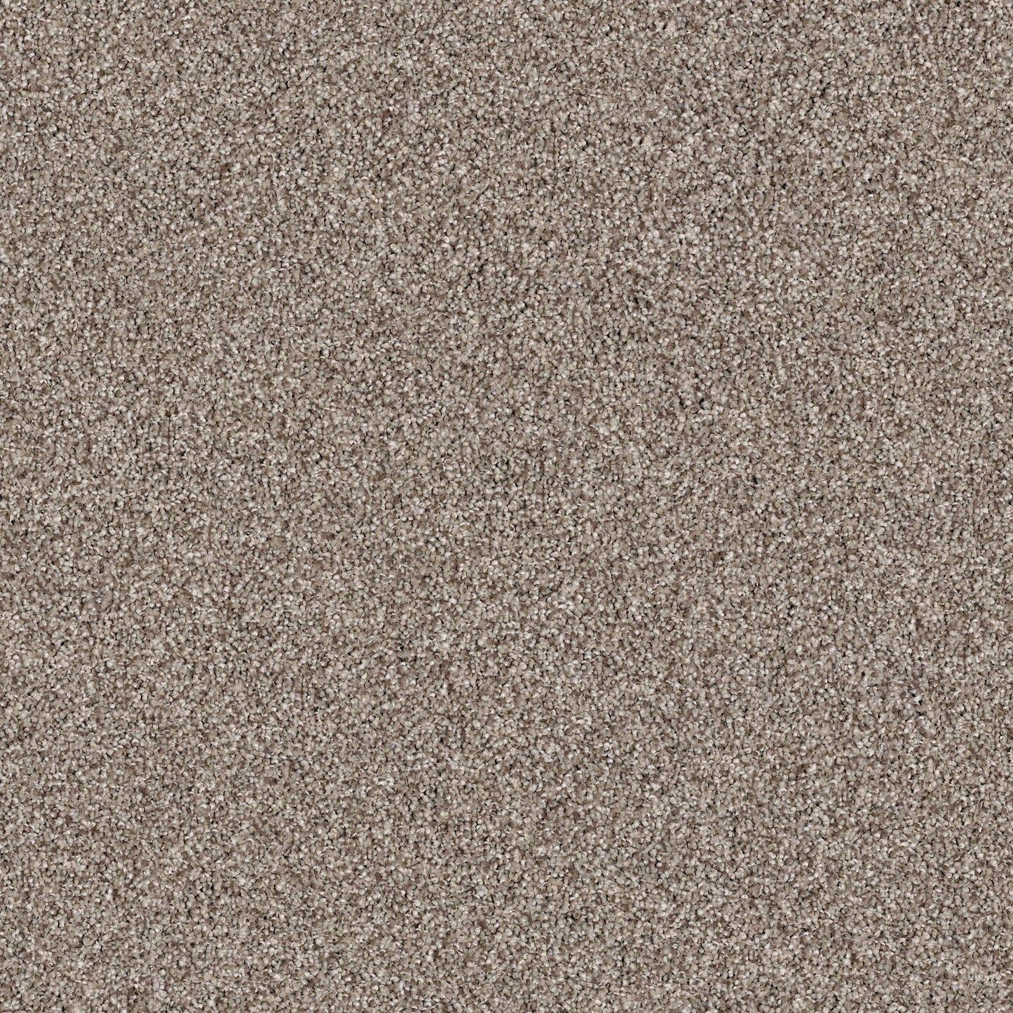 BERBER CUT PILE