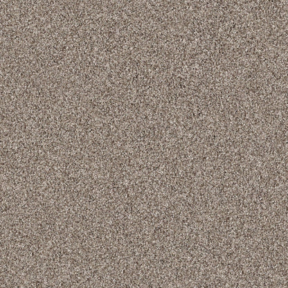 BERBER CUT PILE