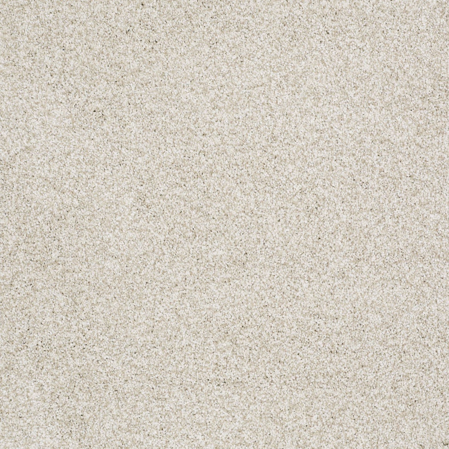 BERBER CUT PILE