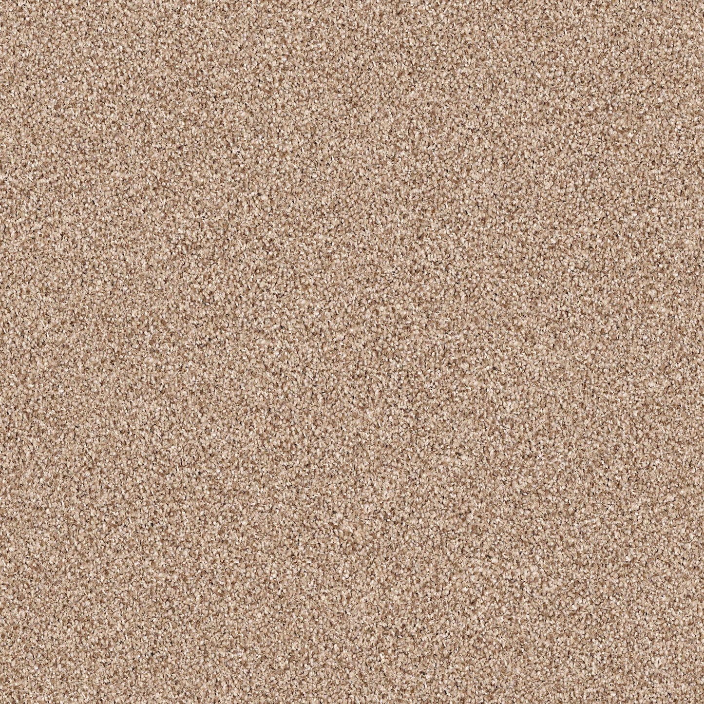BERBER CUT PILE