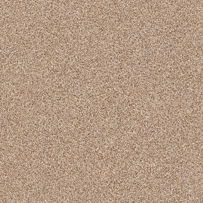 BERBER CUT PILE