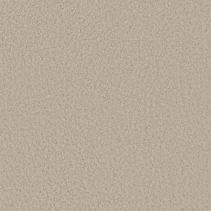 TEXTURE BCF