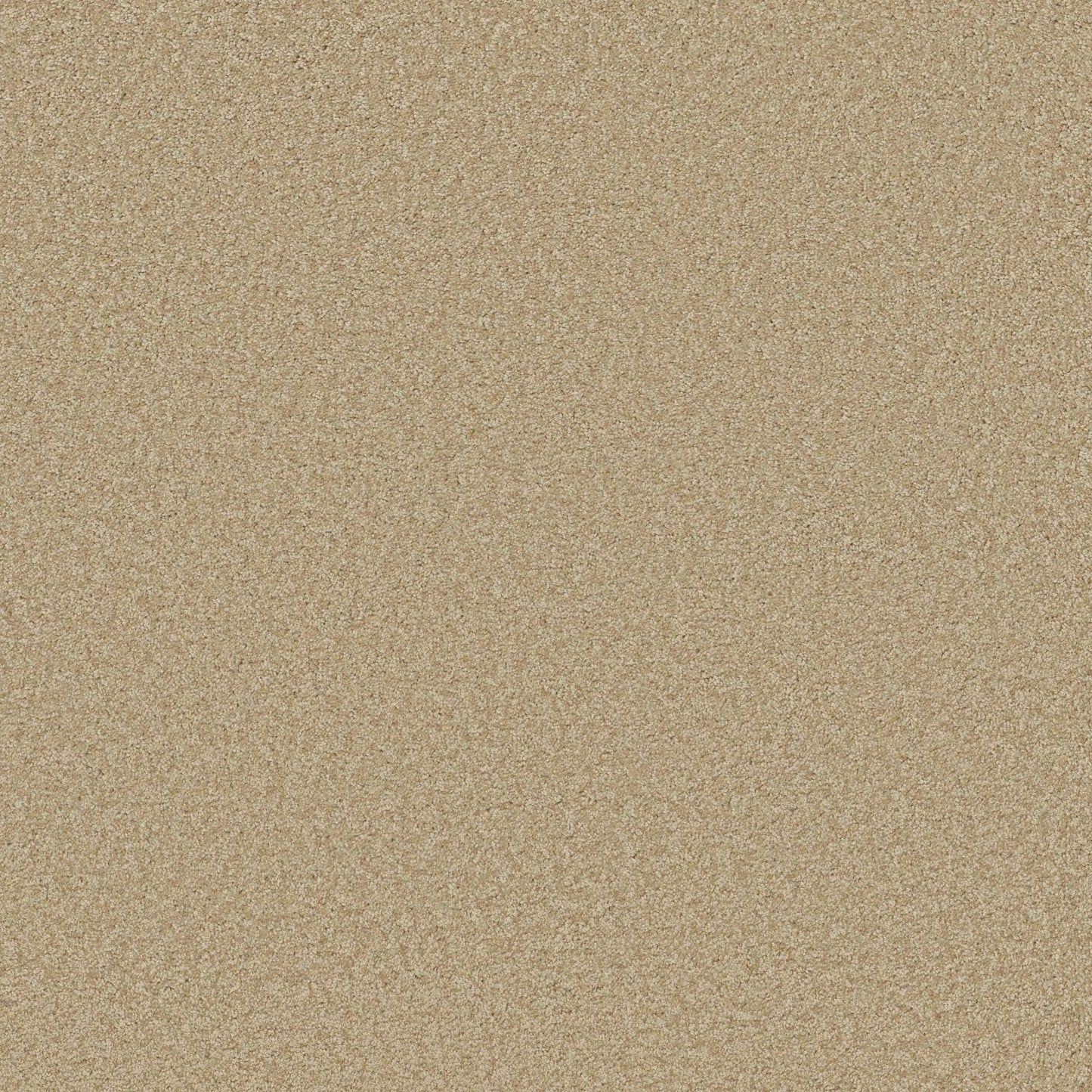 TEXTURE BCF