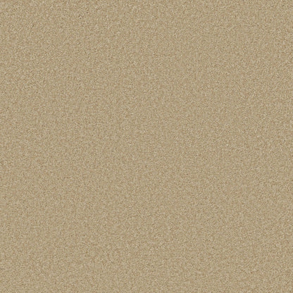 TEXTURE BCF