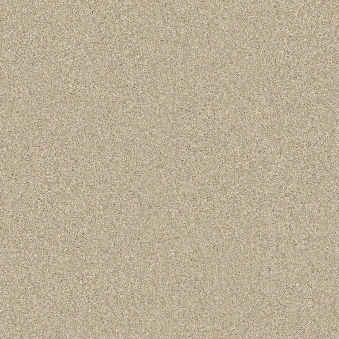 TEXTURE BCF