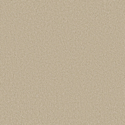 TEXTURE BCF