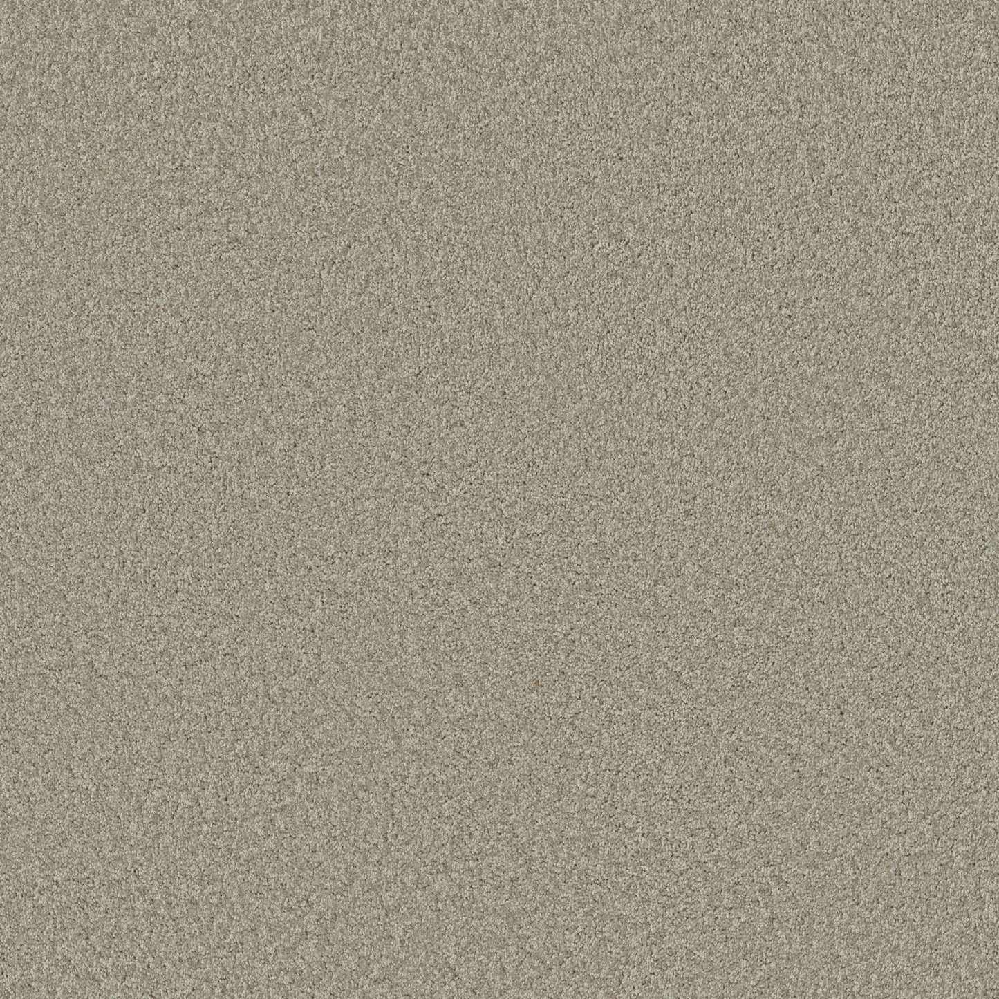 TEXTURE BCF