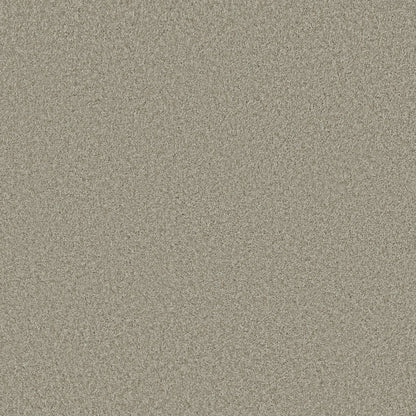 TEXTURE BCF
