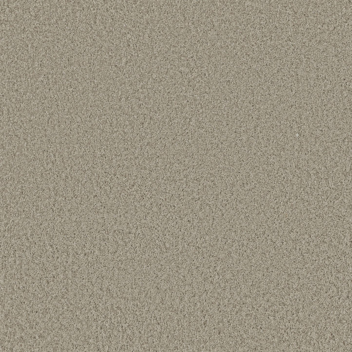 TEXTURE BCF