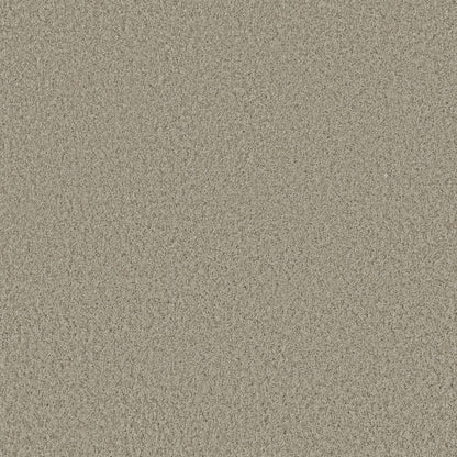 TEXTURE BCF
