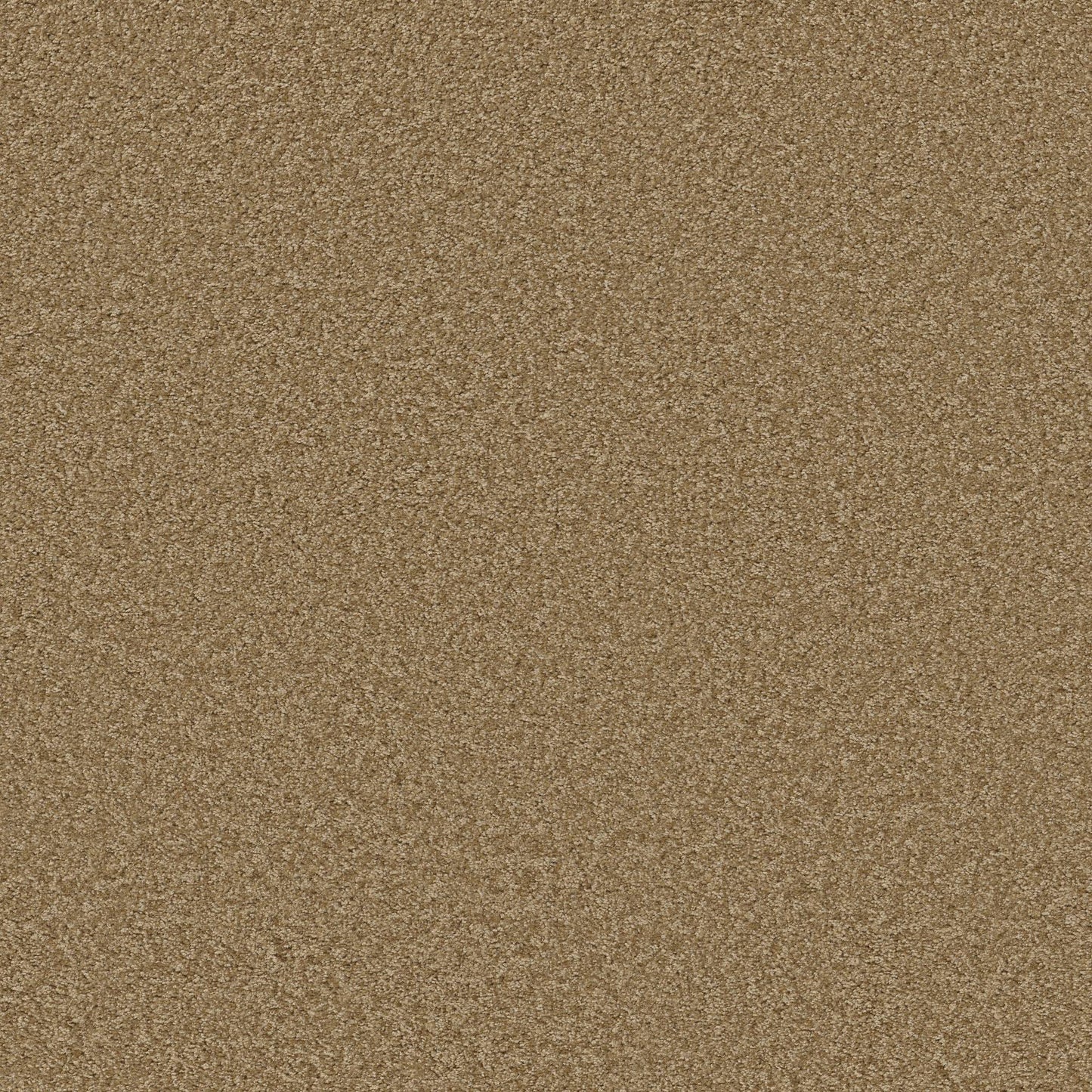 TEXTURE BCF