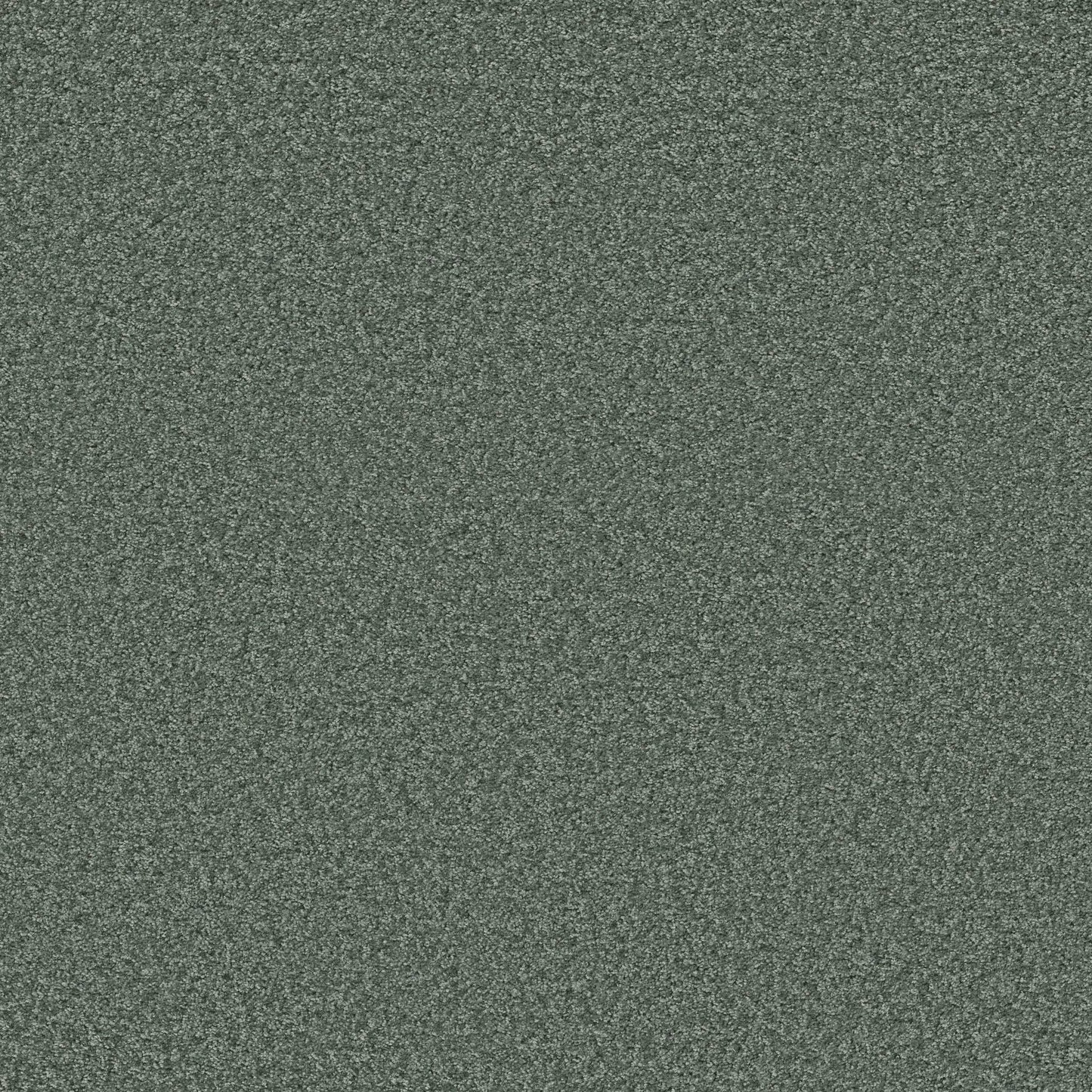 TEXTURE BCF