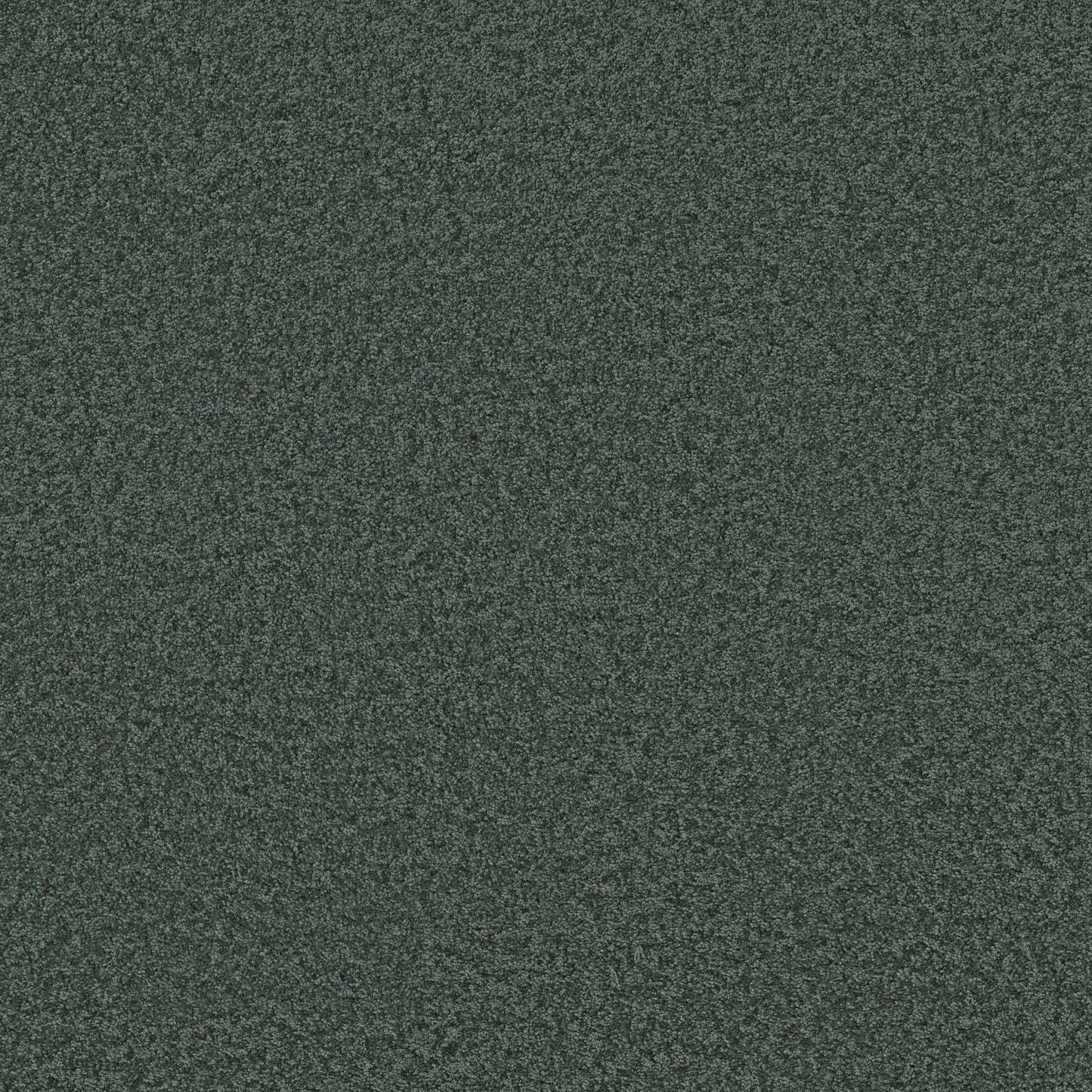 TEXTURE BCF