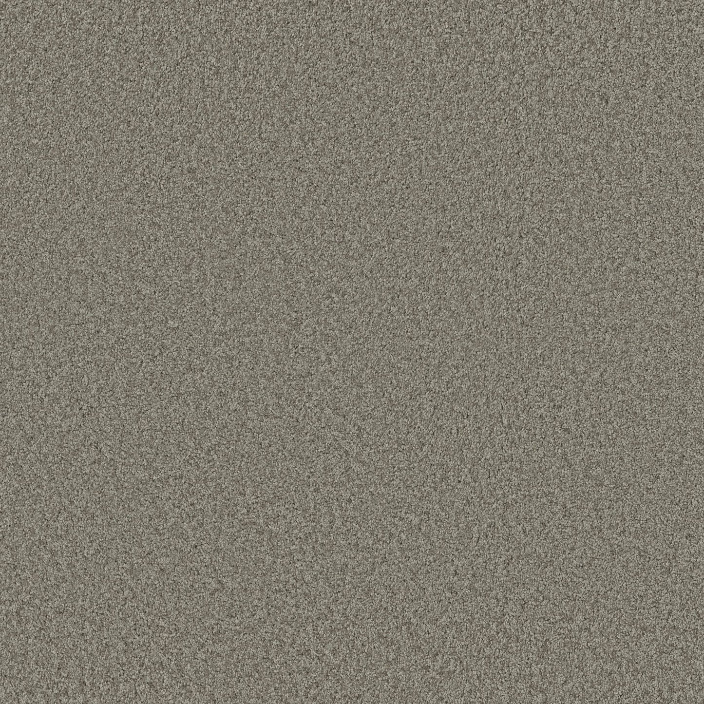 TEXTURE BCF
