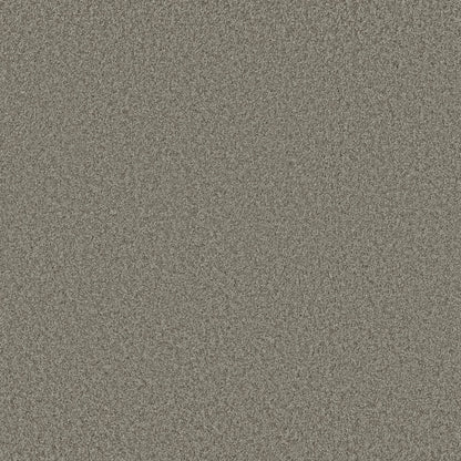TEXTURE BCF