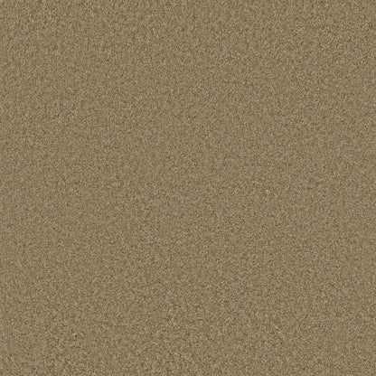 TEXTURE BCF