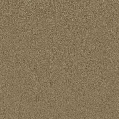 TEXTURE BCF