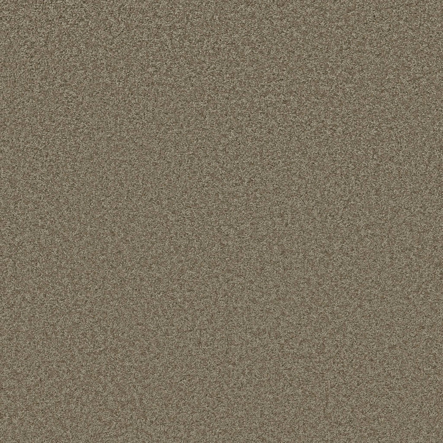 TEXTURE BCF