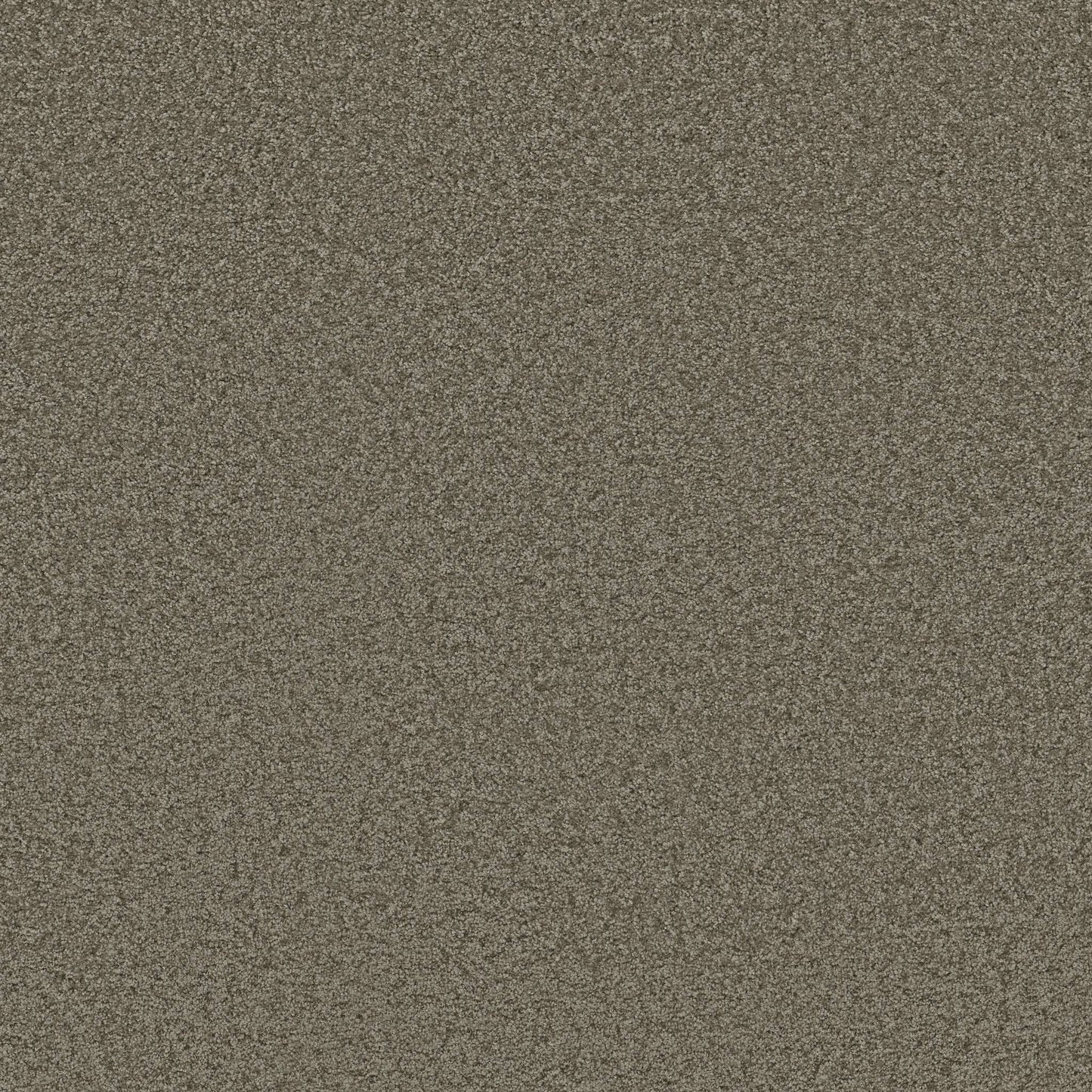 TEXTURE BCF