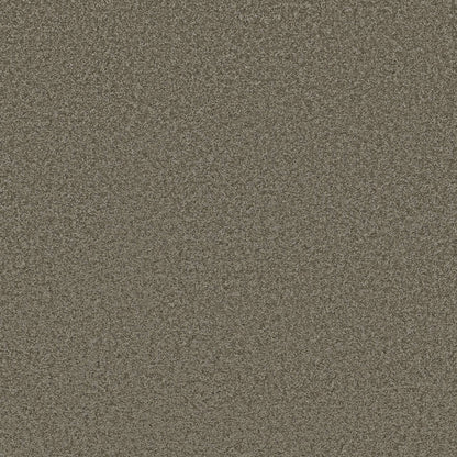 TEXTURE BCF