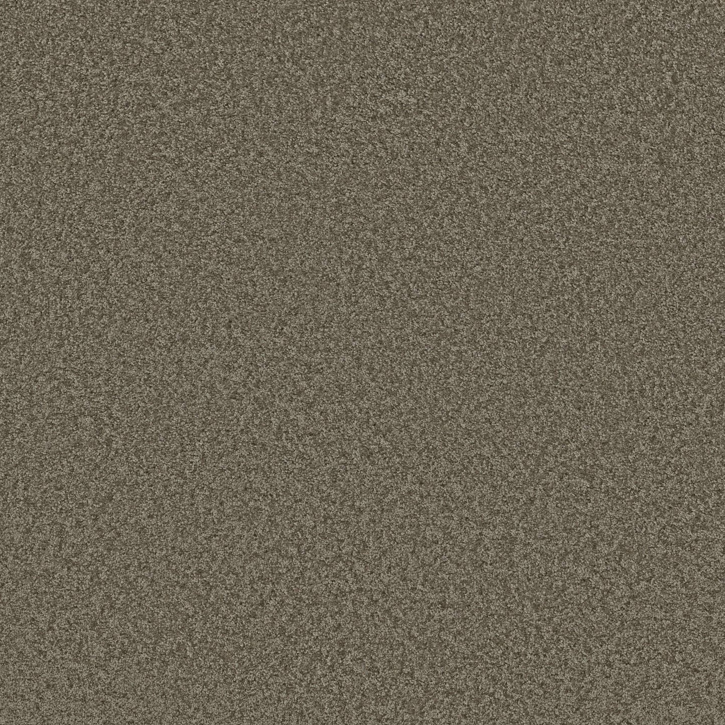 TEXTURE BCF