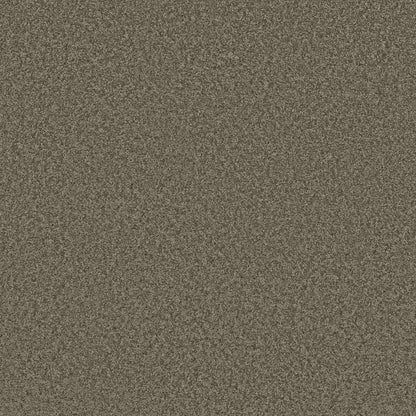 TEXTURE BCF