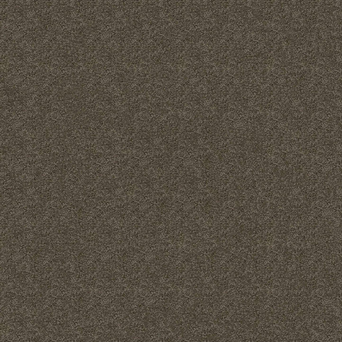 TEXTURE BCF