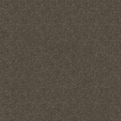 TEXTURE BCF