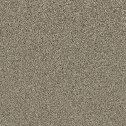 TEXTURE BCF