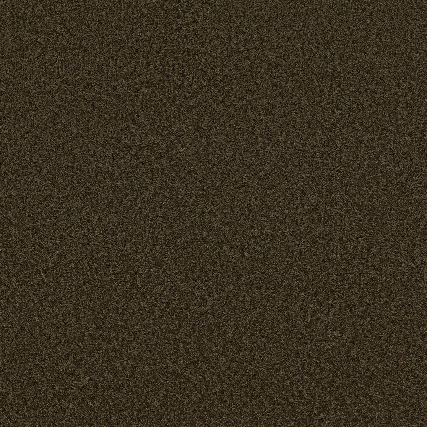 TEXTURE BCF
