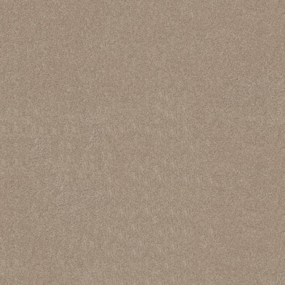 TEXTURE BCF