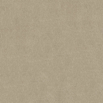 TEXTURE BCF
